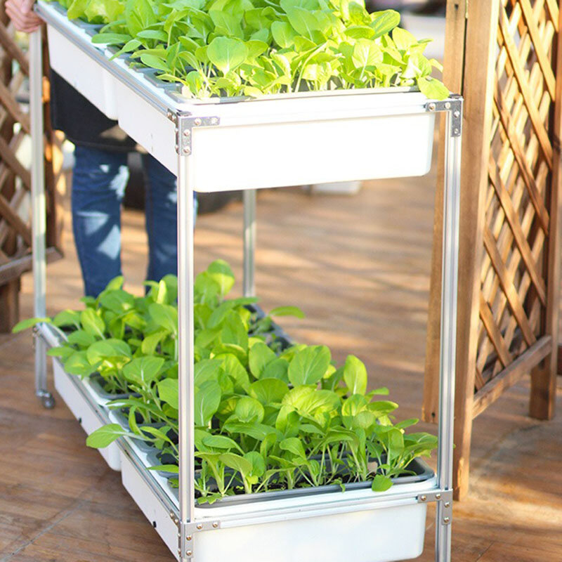Vertical Hydroponic System In Automatically Absorbs Water Balcony Planting Planter Gardening Growing System Large Planter Box