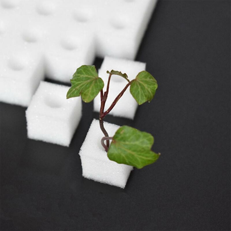 1/2 시트 흰색 묘목 스펀지 무토양 수경 야채 재배 식물 꽃 종묘원 모종 복제 칼라 정원