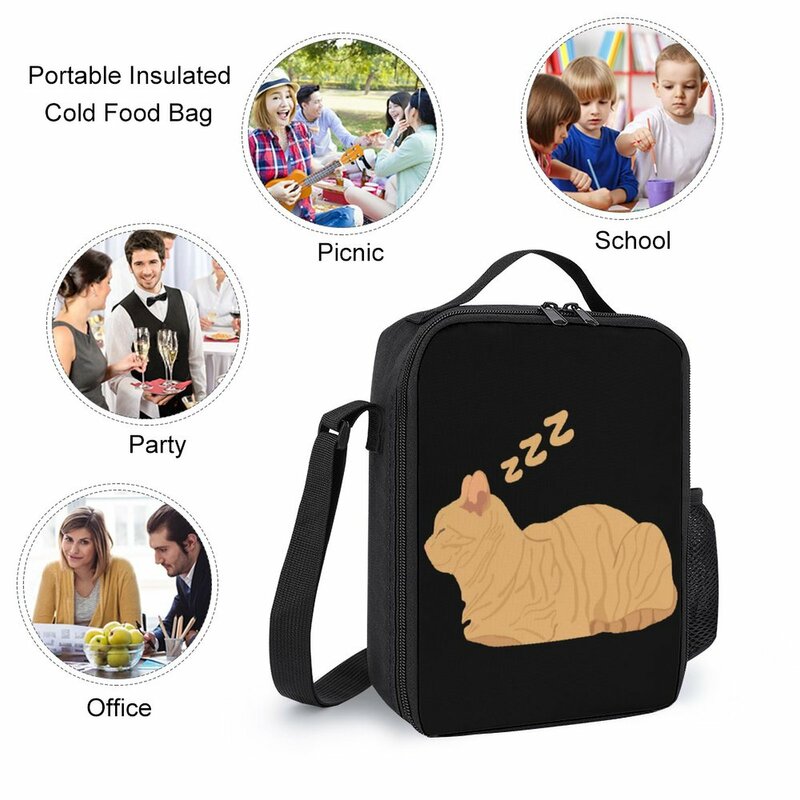 3 in 1 Set 17 Inch Backpack Lunch Bag Pen Bag Heavy Mental Music Cats Meme Cute Cat Loaf 16 Secure Unique Cosy Travel Infantry P
