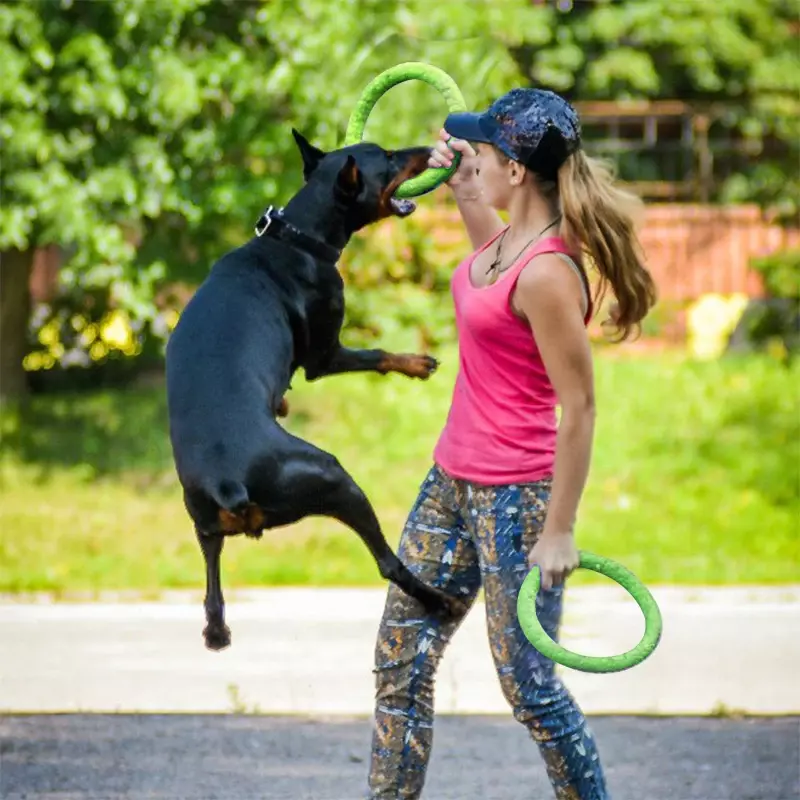 كلب لعب الحيوانات الأليفة تحلق أقراص إيفا الكلب التدريب حلقة مجتذب مقاومة لعب للكلاب العائمة جرو لدغة حلقة لعبة التفاعلية