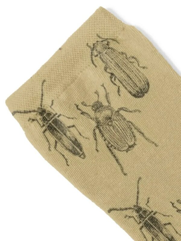 Kaus kaki Beetles Vintage Pria Wanita, kaus kaki hitam