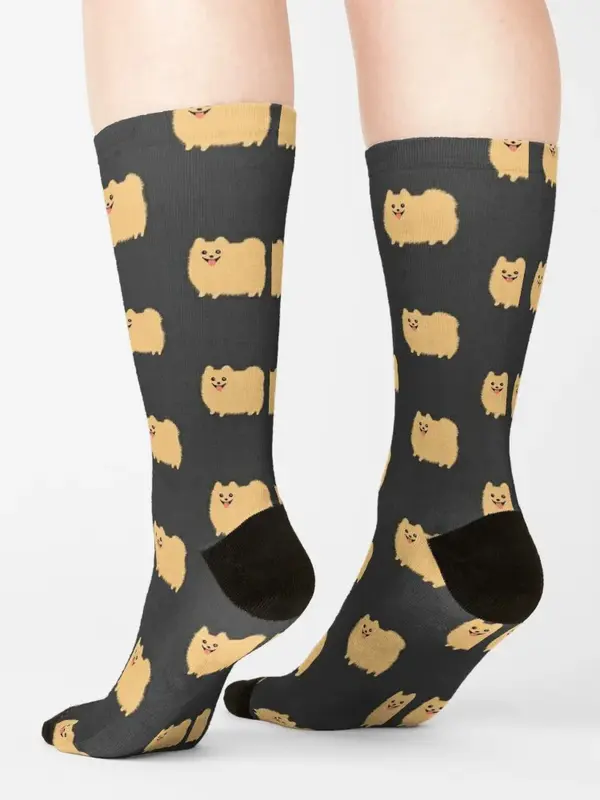 Pomerania-calcetines de dibujos animados para hombre y mujer, medias mullidas con diseño de perro, ideal para regalo de invierno