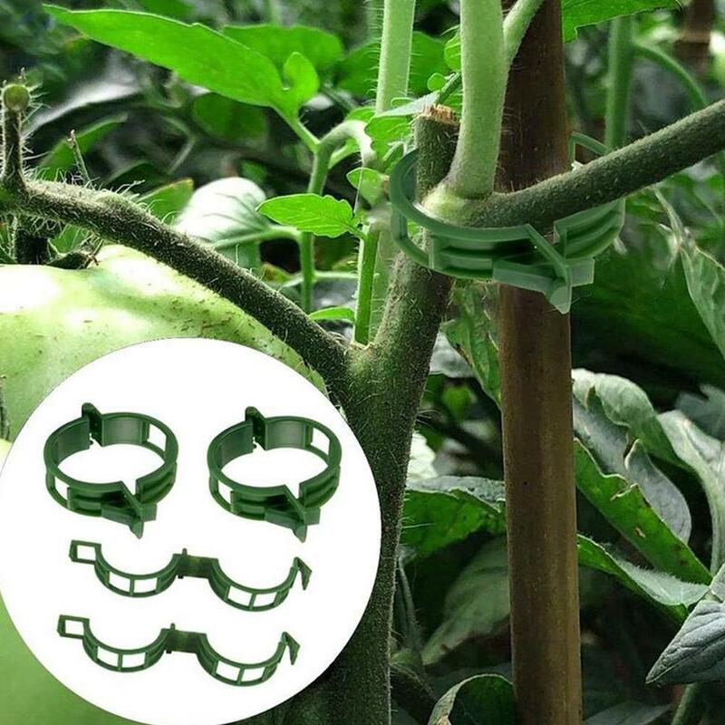 Kunststoff klammern für Pflanzens tützen Bindung Rebe Clip Hami Melone Clip Rebe Befestigungs clip Transplantat Befestigungs werkzeuge können wieder verwendet werden