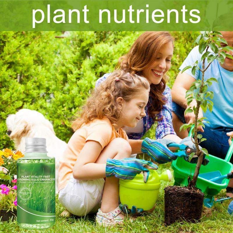 Fertilizante líquido natural e seguro para cuidados com gramado, Nutrientes para jardim, Food Plant, Solução de nutrientes, Aumenta o crescimento