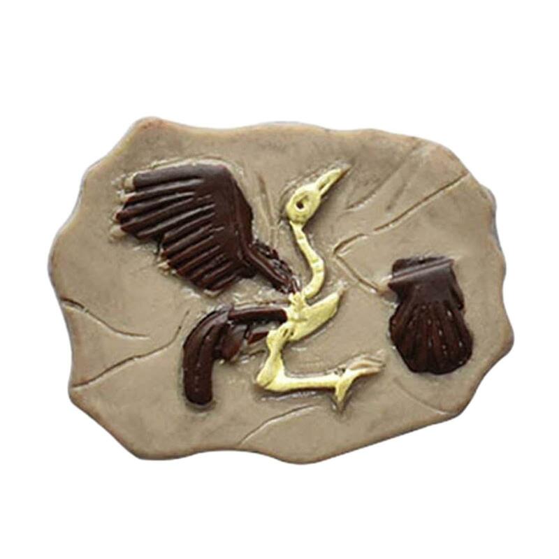Ornements de fossile miniatures, décoration de téléphone exécutif, maison de courses, archéologie