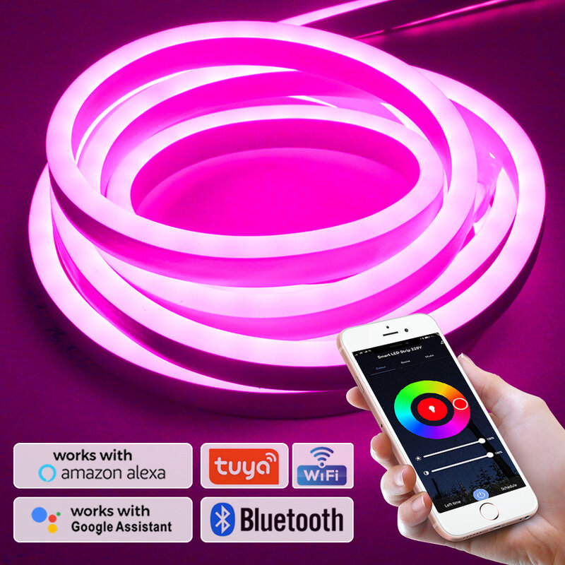 EU LED Neon Rope Light Strip, fita de fita inteligente, lâmpada LED flexível, Bluetooth remoto, WiFi, IP67, 220V, 1-100m, IP67, 5050