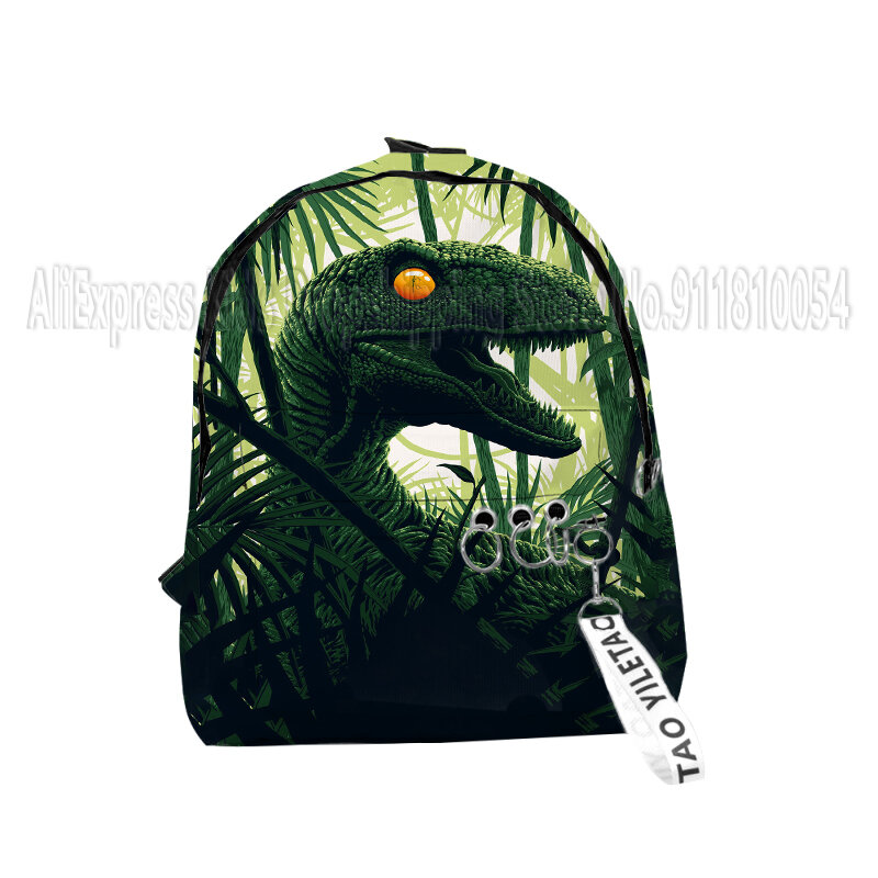 Mochilas escolares de dinosaurio para niños y niñas, mochilas con estampado 3D de dragón de dibujos animados, Oxford, impermeable, llavero, divertidas, pequeñas bolsas de viaje