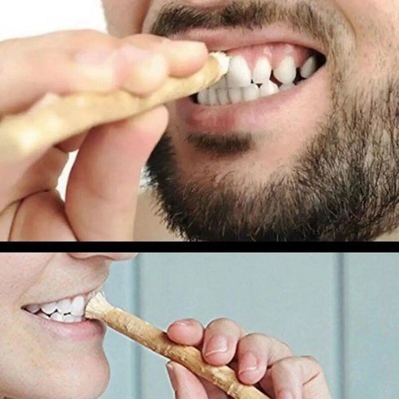 1 Stuk Draagbare Miswak Siwak Natuurlijke Tandenborstel Misvak Whitener Handmatige Tanden Reizen Miswaak Traditionele Tandenborstel Arak T1v7