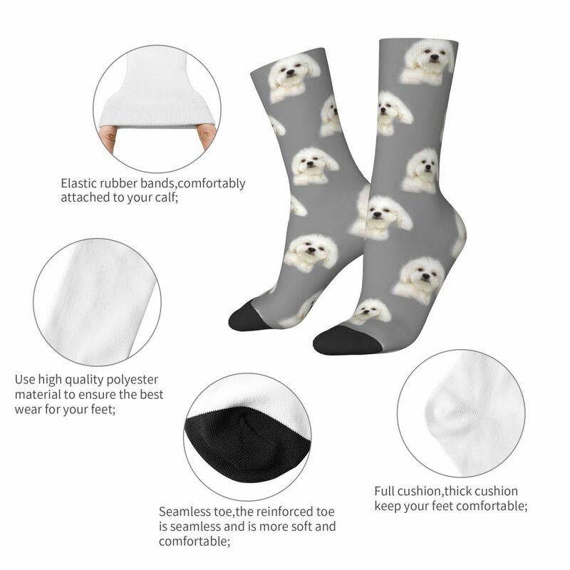 Legal bichon frise branco filhote de cachorro meias de basquete cão poliéster médio tubo meias para unisex