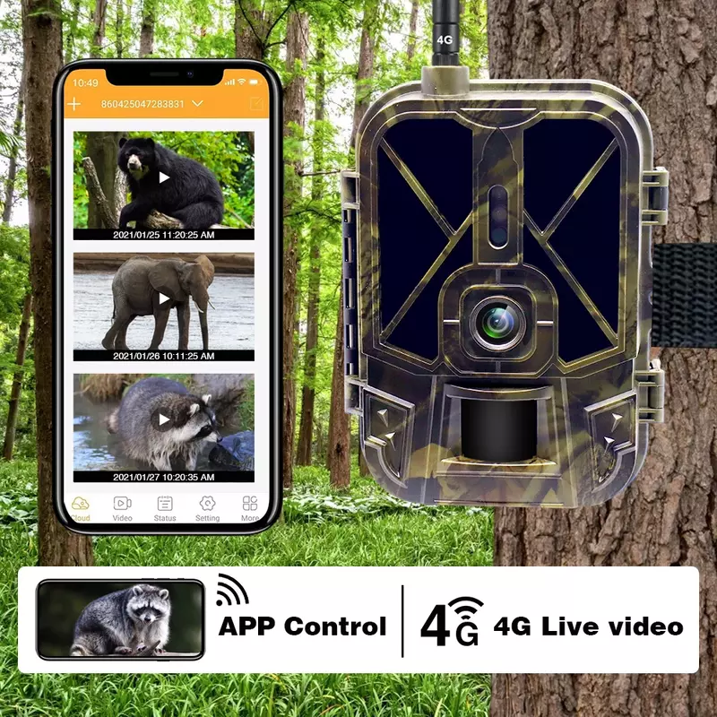 Cámara de seguimiento 4G 4K 36MP APP Contro 8000MA batería de litio cámara de caza visión nocturna Reconocimiento de vida silvestre