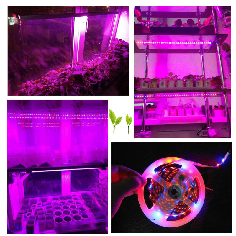 Tira de luces LED para cultivo de plantas, lámpara de 12V, 5050 para cultivo de vegetales, flores hidropónicas, invernadero de interior y jardín, 1M, 5M