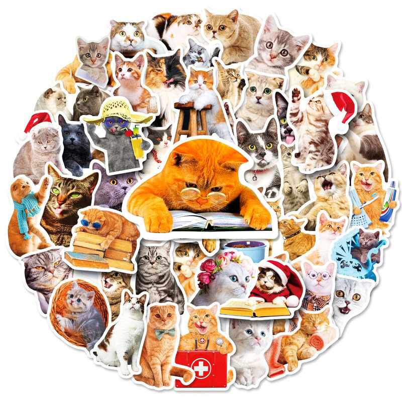 귀여운 고양이 데칼 방수 스티커, 노트북 수하물 장식, 스크랩북 저널 물병, 50 개