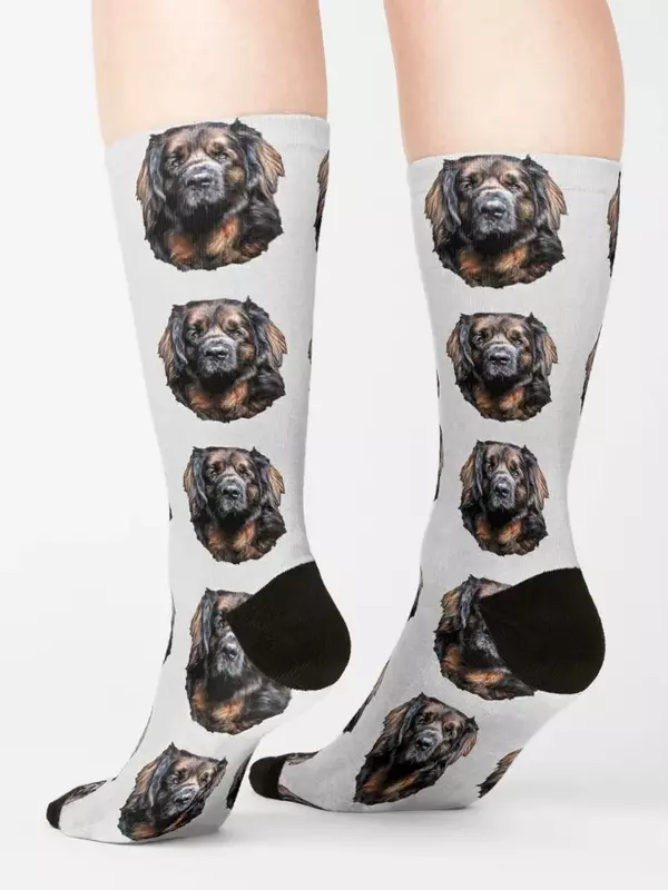 Leonberg-um lindo cão curto designer meias para homens e mulheres, hóquei meias, inverno