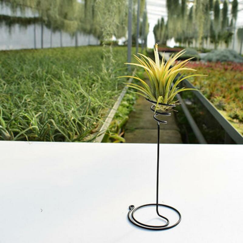 Soporte de exhibición de plantas de aire de jardín al aire libre, fácil de instalar, adorno, decoración del hogar