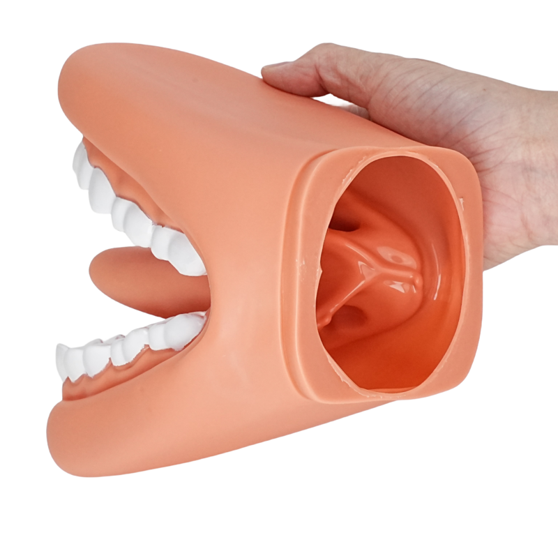 Boneka tangan mulut dengan lidah untuk terapi pidato dokter gigi pembelajaran edukasi sumber daya lidah anak Model pengajaran pidato