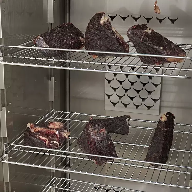 Fabrik heißer Verkauf trockener Alterung reifer Schrank Fleisch trockner für die Herstellung von Rindfleisch Salami Maschine