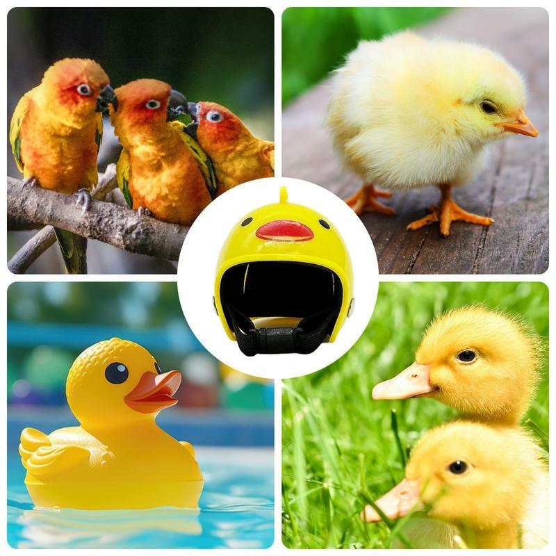 Sombrero de seguridad ajustable para pollo, sombrero duro para mascotas pequeñas, polluelos, periquitos, loros, pájaros y patos