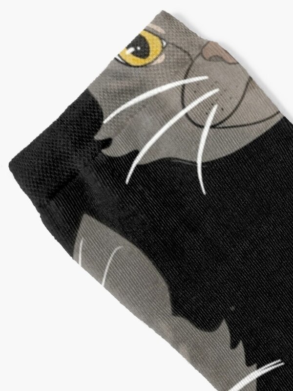 Серые носки с изображением кошачьего лица, японские Модные Спортивные Чулки, носки для мужчин и женщин