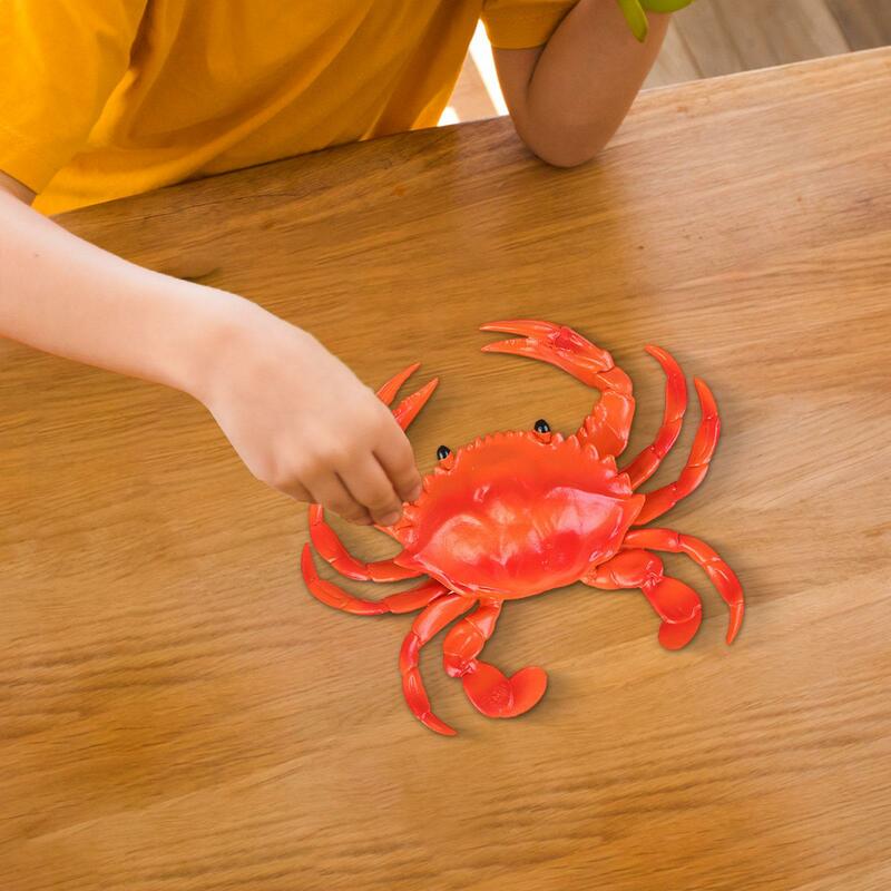 Jouet de bain crabe réaliste, figurine d'animal marin, modèle pour adolescents, garçons et enfants