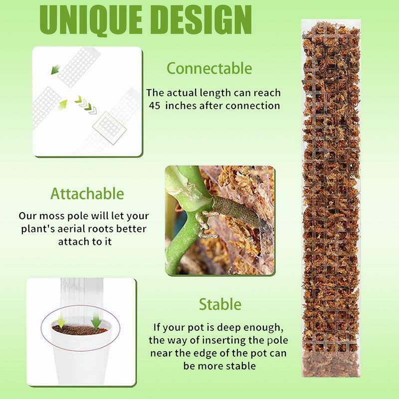 Poteaux de support pour plantes d'intérieur, 24 pouces, en mousse, pour plantes en pot, pour pousser vers le haut