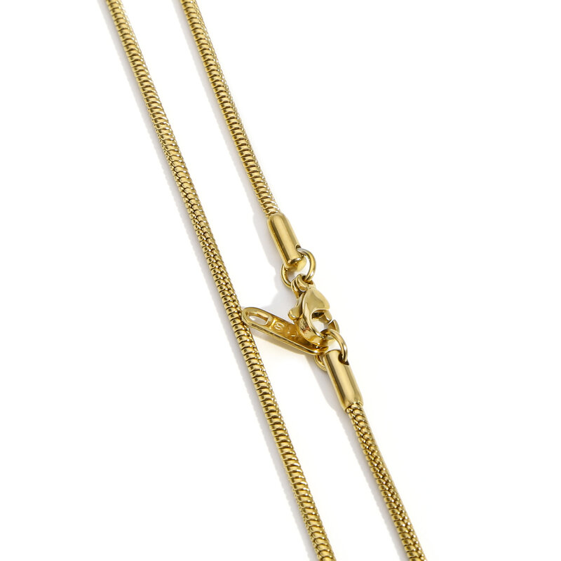 HIYEE-Collar de cadena de acero inoxidable para hombres y mujeres, Collar largo de serpiente, alto pulido, no se decolora