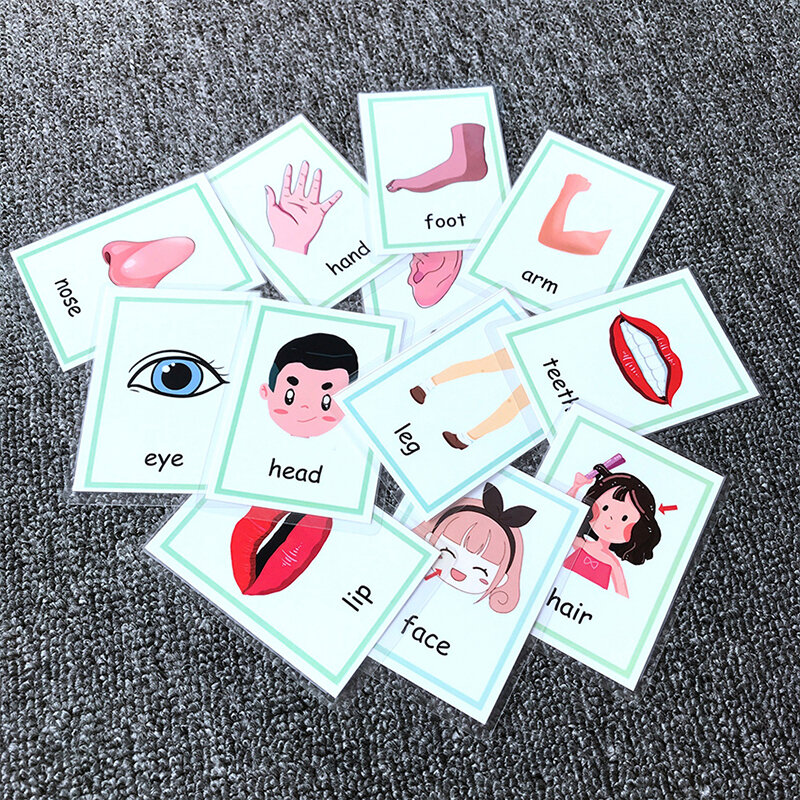 Tarjetas cognitivas Montessori, tarjetas Flash de dibujos animados, ejercicio de memoria en inglés, 12 piezas