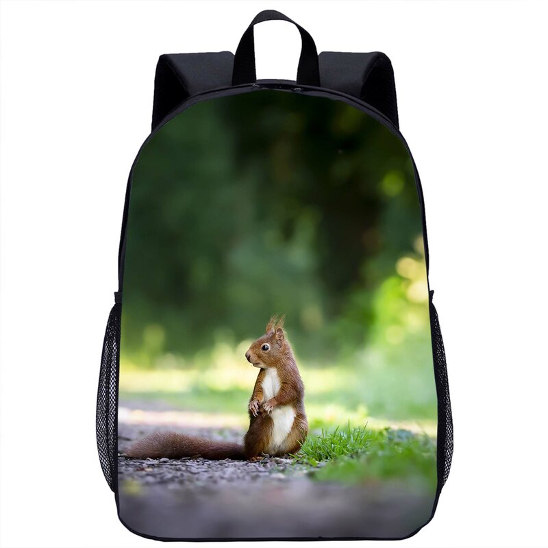 Zaino scoiattolo animale carino adolescente zaino Casual quotidiano ragazzi ragazze bambini borsa per libri borsa da scuola per studenti zaino da viaggio