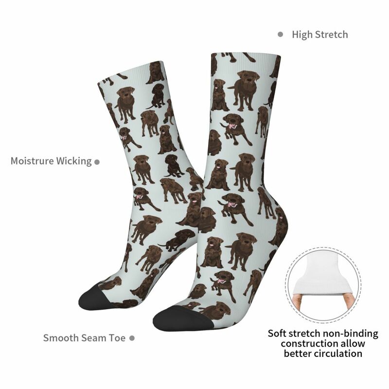 Шоколадные лабрадорские носки Harajuku поглощающие пот чулки всесезонные длинные носки аксессуары для подарка унисекс
