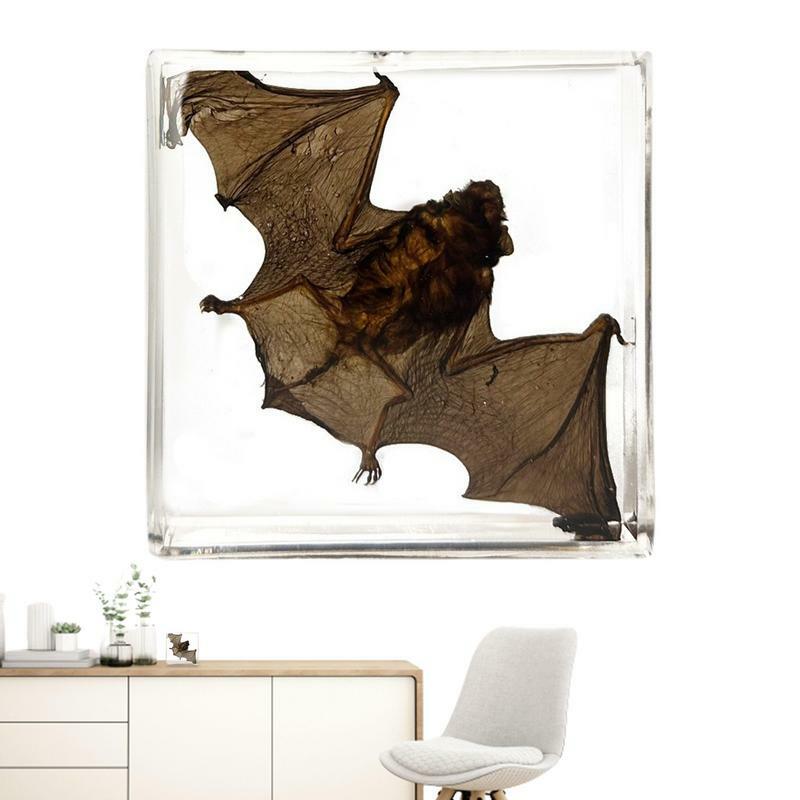 Espécimen de murciélago Real, adorno acrílico, decoración de espécimen de murciélago en resina para Decoración de mesa, pieza de conocimiento iluminadora