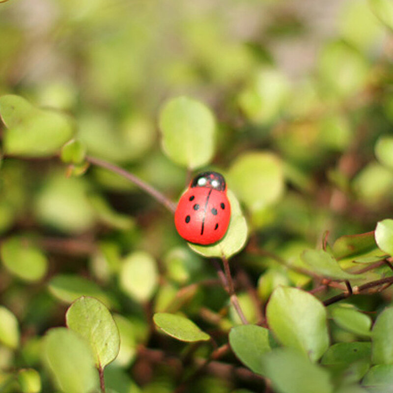 YYSD 10Pcs Mini Ladybird Red Fy for Doll House Garden Decor Ornament