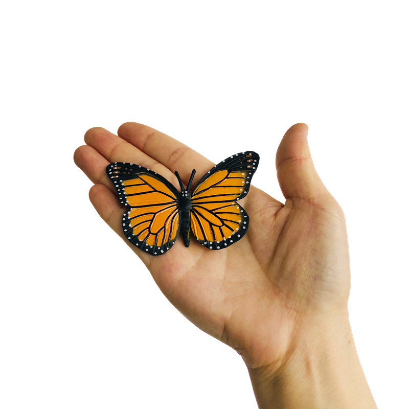 Papan sepeda kehidupan kupu-kupu Montessori/model/kartu/tas 3-bagian/nampan kayu alat bantu mengajar biologi sumber daya belajar anak