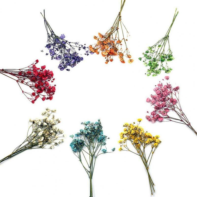 Bouquets de fleurs de gypsophile séchées colorées, fleurs réalistes, mode, 12 pièces