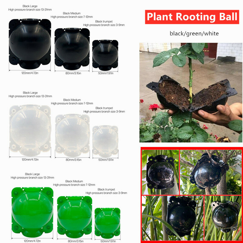 Commercio all'ingrosso! Plant Rooting Ball innesto Rooting Growing Box allevamento seeding Case Container Nursery Box Garden Seeds Root Growing