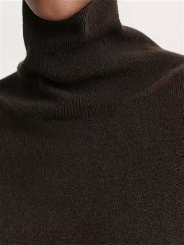 Maglione da donna Color caffè dolcevita sciolto 2024 all'inizio della primavera nuovo Pullover Casual in maglieria