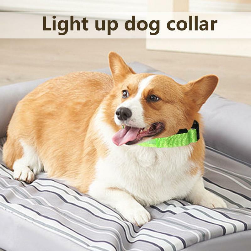 Collare per cani collari per cani luminosi regolabili impermeabili leggeri collana di sicurezza incandescente ricaricabile per cani di taglia media di taglia grande