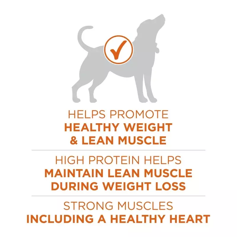 Purina One Plus сухой корм для собак с высоким содержанием белка, здоровый вес, настоящая индейка 16,5 фунтов пакет