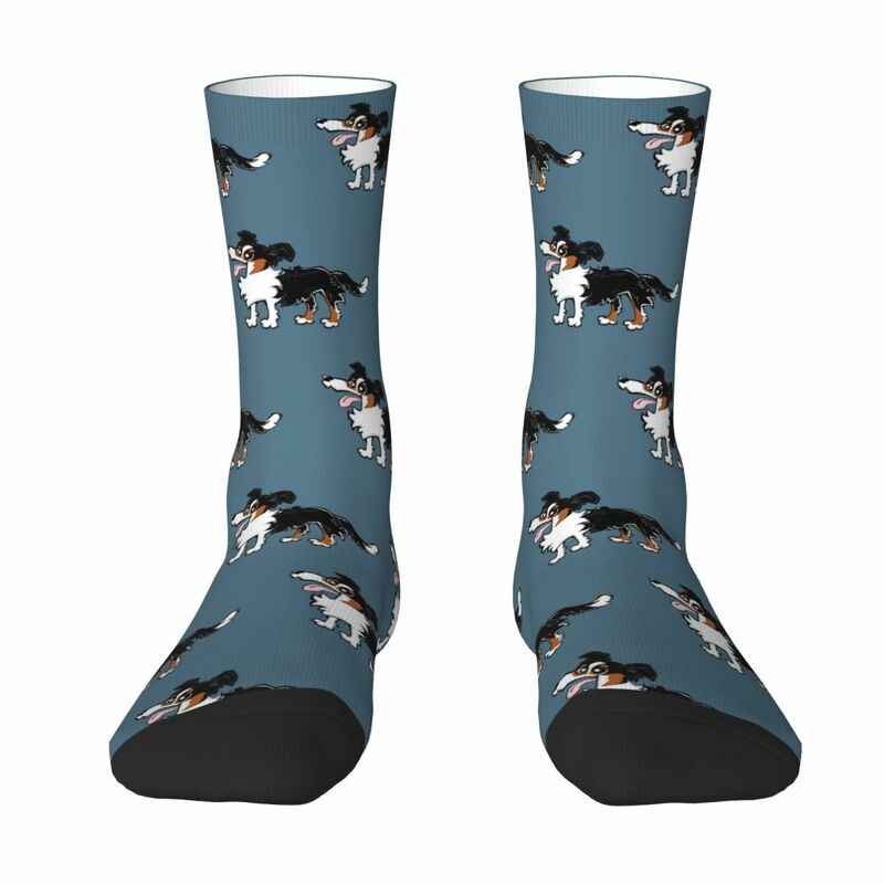 Носки Border Collie, поглощающие пот чулки в стиле Харадзюку, всесезонные длинные носки, аксессуары для мужчин и женщин, подарок на день рождения