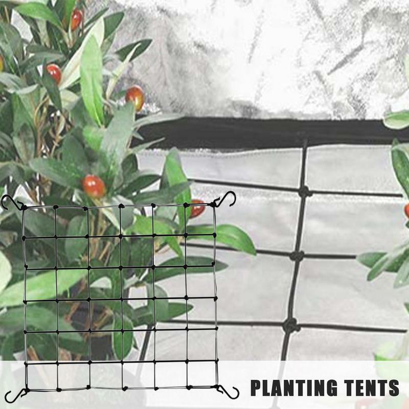튼튼한 정원 격자 그물, 정원 식물 지지대 그물, 오이 격자 그물, 등반 식물 성장 메쉬, 40 cm, 50 cm, 60cm