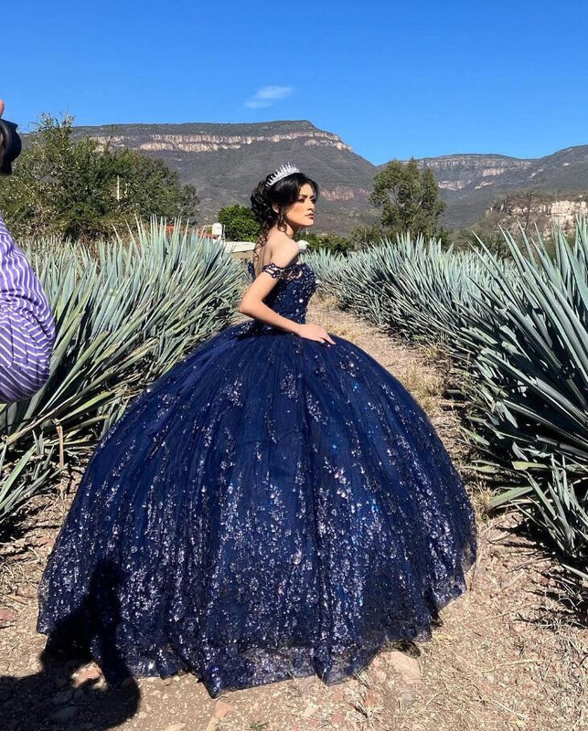 Blu Navy Sparkly Princess Quinceanera abiti Off spalla 3D ricamo floreale vestidos de 15 aecos quinceaeceras 2024