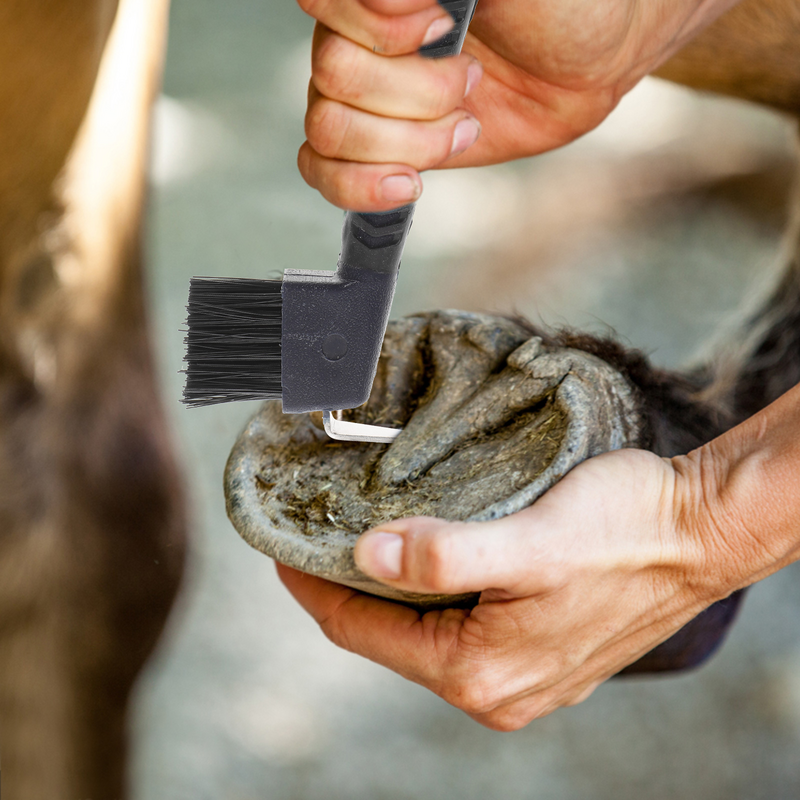 Antypoślizgowy uchwyt do kopyt Guma ze szczotką Nylonowa pielęgnacja kopyt konia Szczotka podkowa Profesjonalne narzędzia do czyszczenia