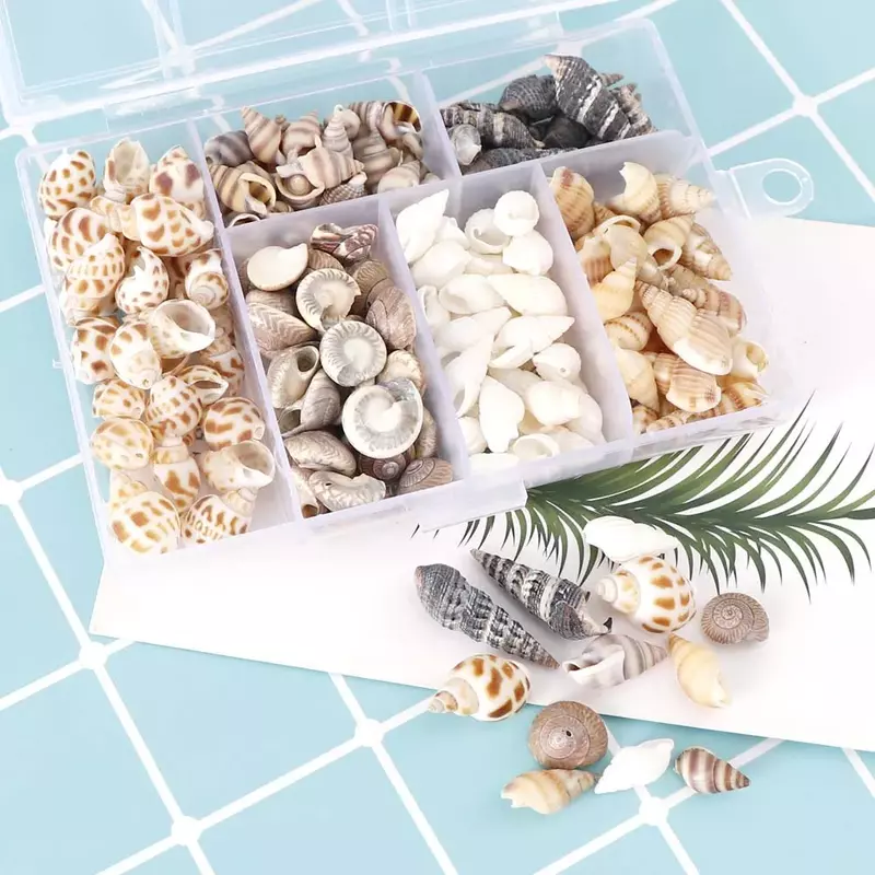 Seashell Natural Starfish para decoração de casa, conchas do mar, aquário e ornamento marinho, decoração Coquillage, 1 caixa