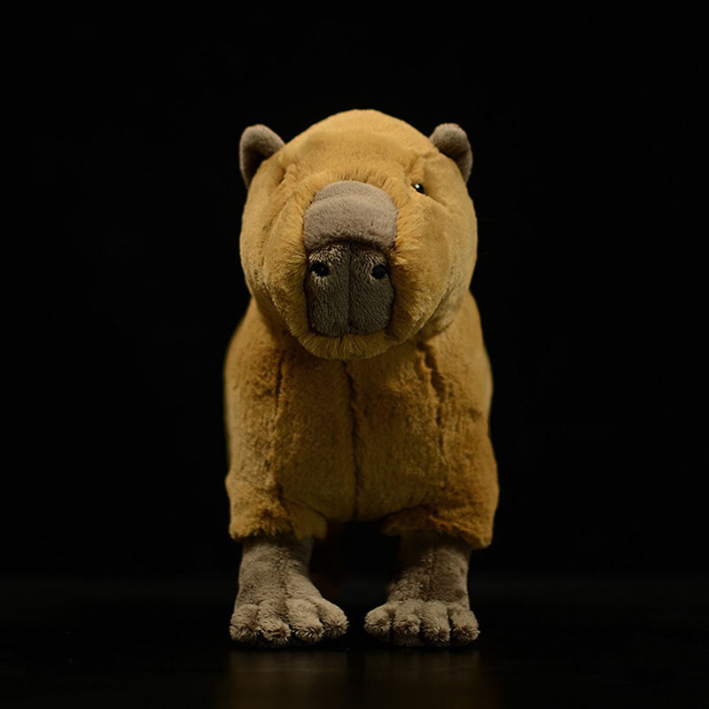 22cm Hight Lifelike Capybara Stuffed Animals Toys Real Life Cute Capybara  Plush Toy Birthday Christmas Gifts for Kids