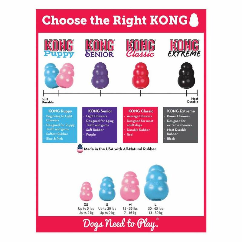 KONG-juguete de goma de dentición Natural para cachorros-divertido para masticar, perseguir y buscar (el Color puede variar)