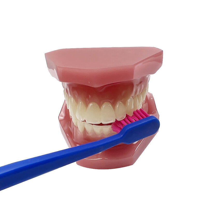 1 szt. Czyste zęby aparaty ortodontyczne nietoksyczny szczoteczki ortodontyczne dla dorosłych szczotka do zębów dentystyczne pielęgnacja jamy ustnej miękkie szczoteczki do zębów