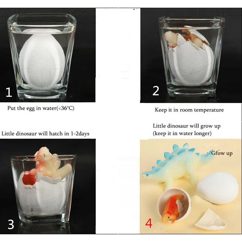 Novo 5/10 pces incubação crescente dinossauro adicionar água mágica crescer ovo animal processo de reprodução educacional ensinar brinquedos engraçados para o miúdo
