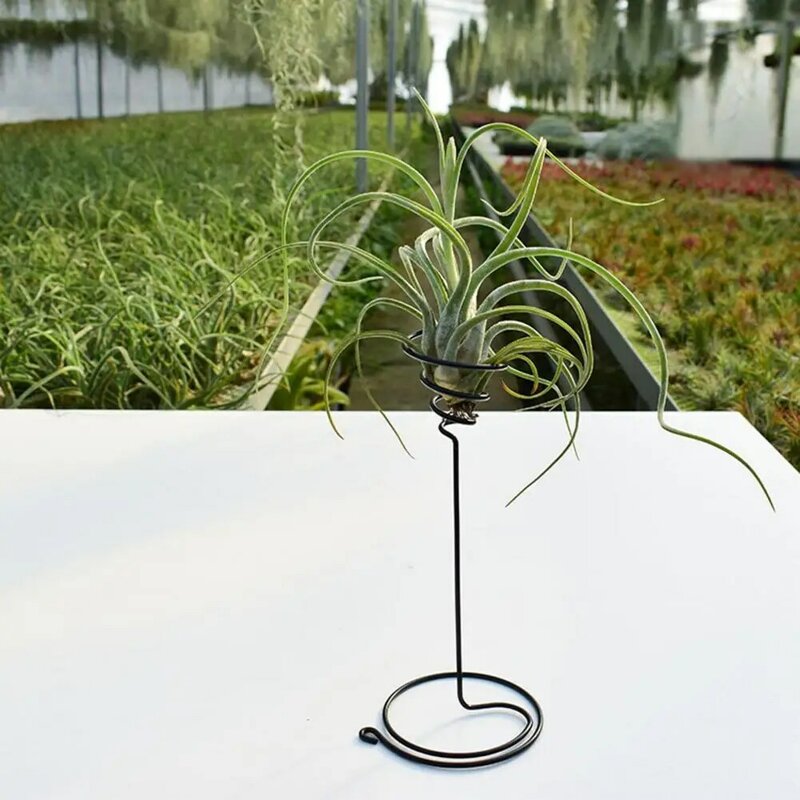 داعمة سهلة التركيب في الهواء الطلق حديقة النباتات الهواء عرض حامل حلية ديكور المنزل