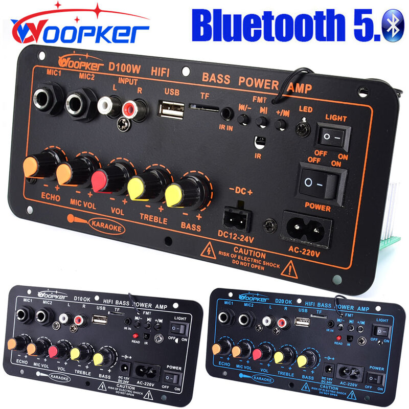 Woopker 300W Bluetooth Audio Amplifier Board D100 Subwoofer Dual Microphone AMP Module 12V 24V 220V Medie Player