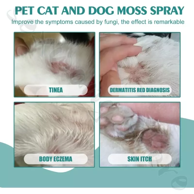 Semprotan perawatan kulit hewan peliharaan 100ml, perawatan cacing cincin kucing penyakit kulit kucing, gatal, menghilangkan rambut asli