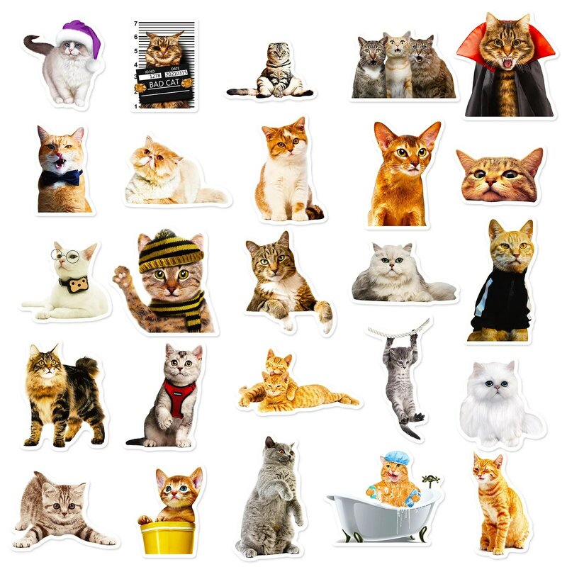 Kawaii Cat Meme Adesivos, Engraçado Gatos Graffiti Decalques para Decorações Scrapbook, Jornal, Garrafa De Água, Laptop, Bagagem, 50Pcs