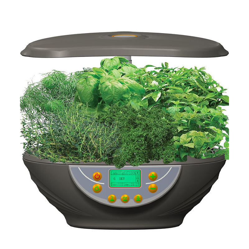 ระบบไฮโดรโปนิกส์เครื่องปลูกผักและผลไม้ Grow ในร่มอัจฉริยะระบบปลูกพืชไร้ดินสำหรับใช้ในบ้าน